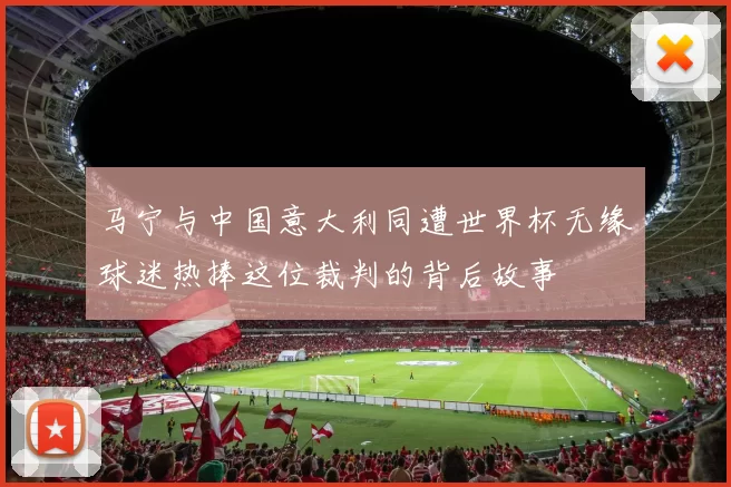 马宁与中国意大利同遭世界杯无缘球迷热捧这位裁判的背后故事